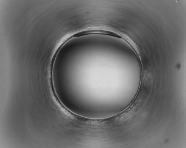 X0000091521005200708171213