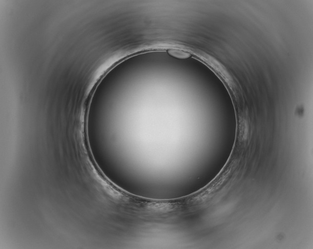 X0000091521006200708171213