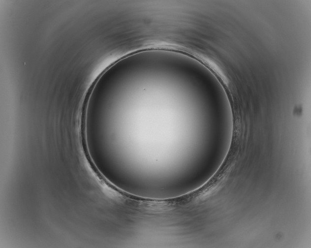 X0000091521007200708171213