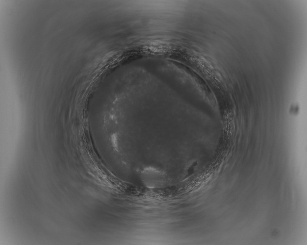 X0000091521009200708171212