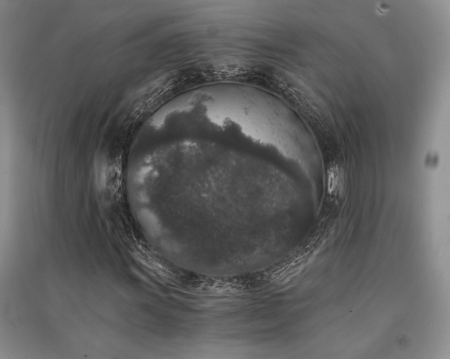 X0000091521011200708171212