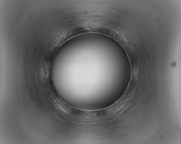 X0000091521012200708171212