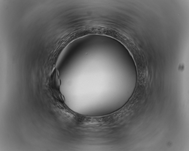 X0000091521013200708171212