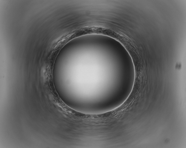X0000091521014200708171212