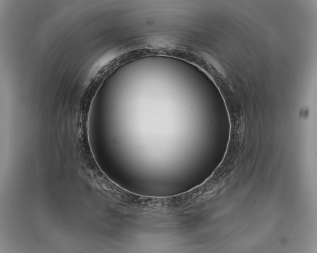 X0000091521016200708171212