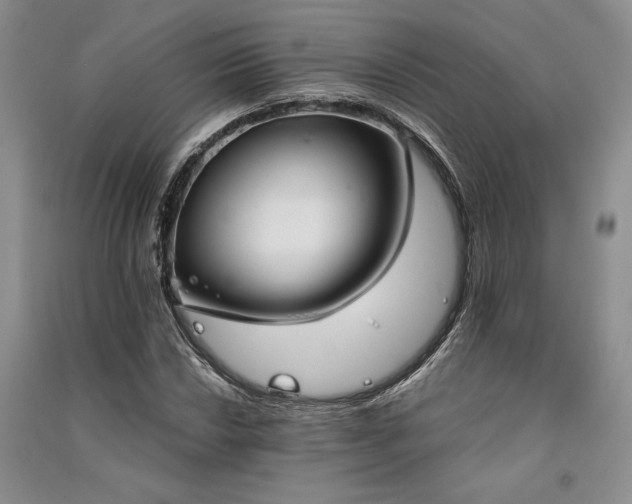 X0000091521018200708171212