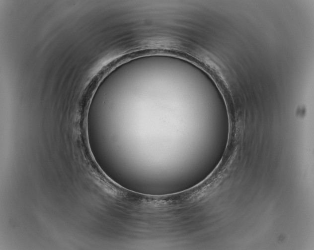 X0000091521019200708171212