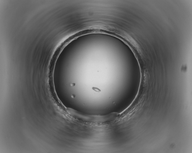 X0000091521020200708171212