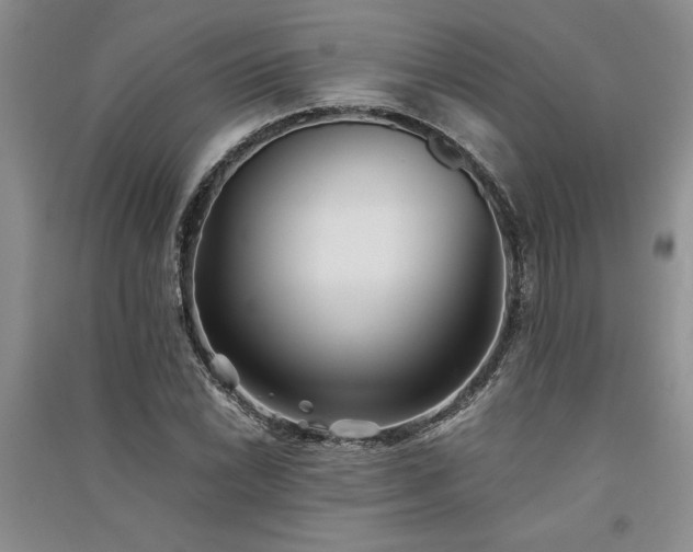 X0000091521022200708171212