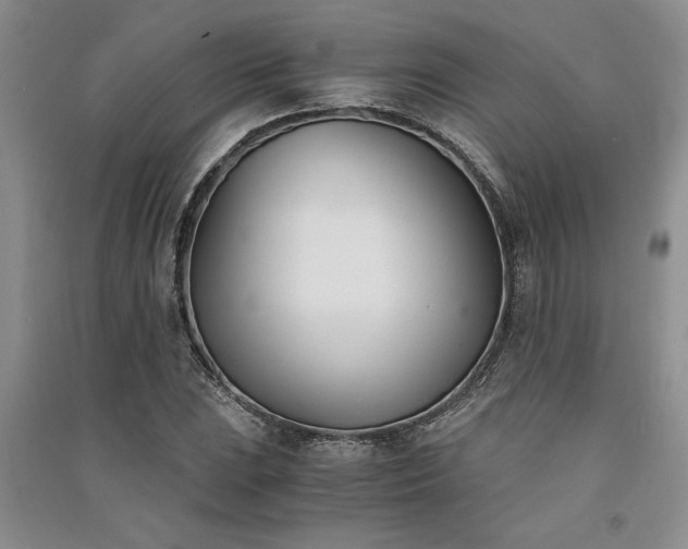 X0000091521023200708171212