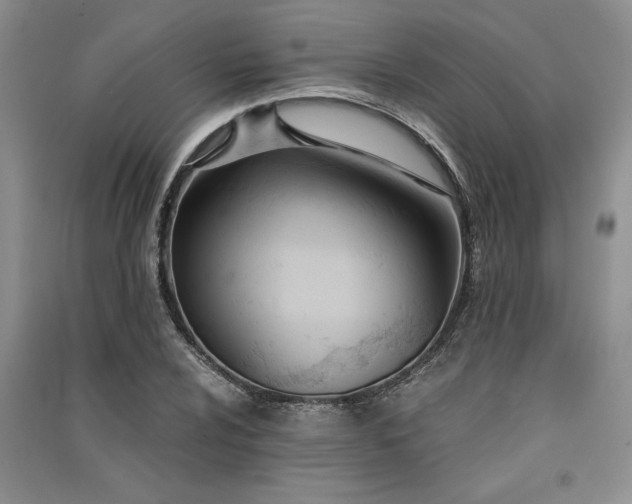 X0000091521024200708171212