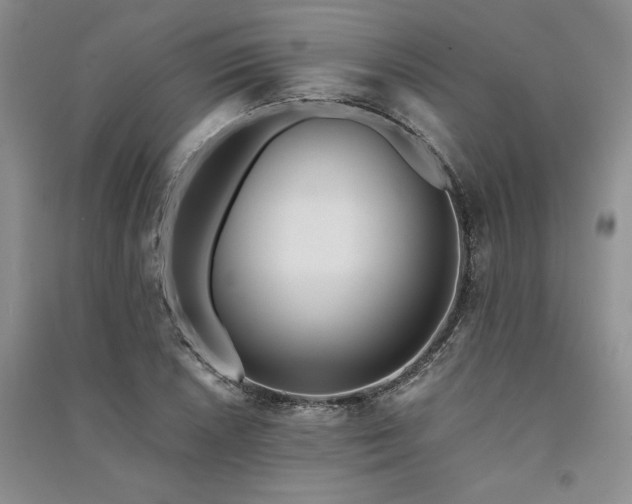 X0000091521026200708171212