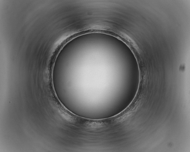 X0000091521027200708171212
