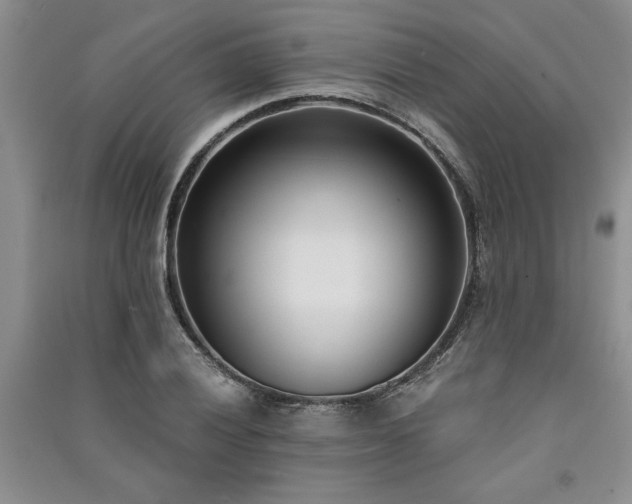 X0000091521028200708171212