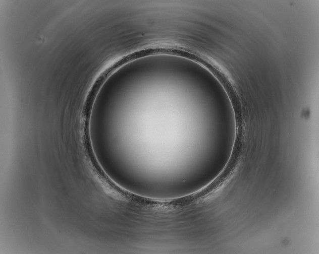 X0000091521029200708171212