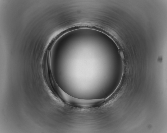X0000091521030200708171212