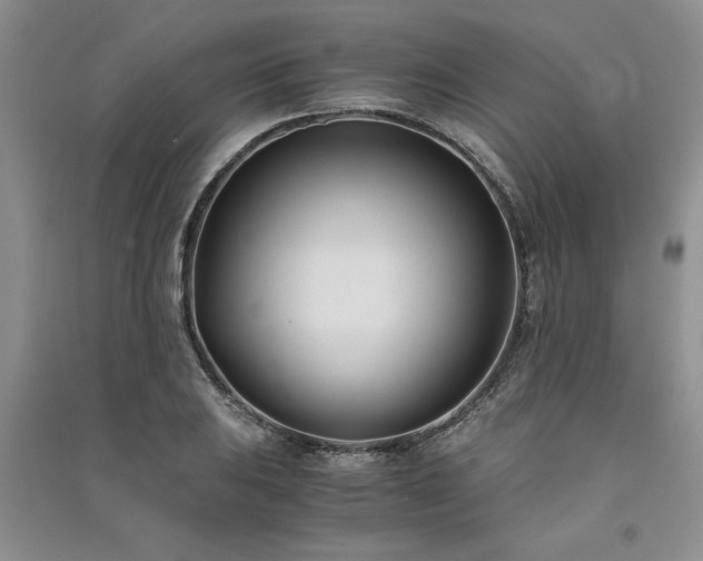 X0000091521031200708171212