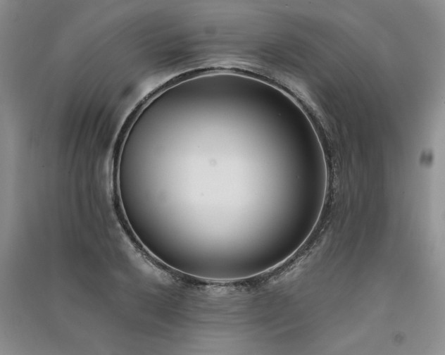 X0000091521032200708171212
