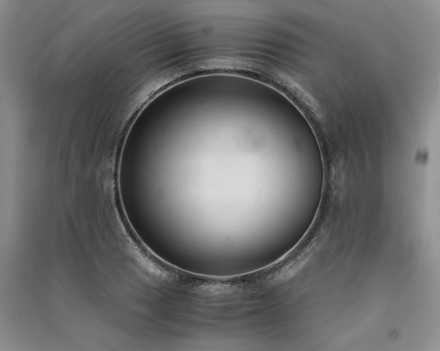 X0000091521033200708171212