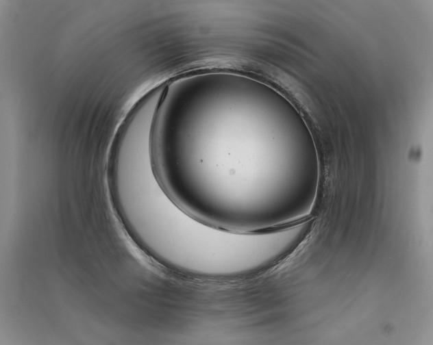 X0000091521034200708171212