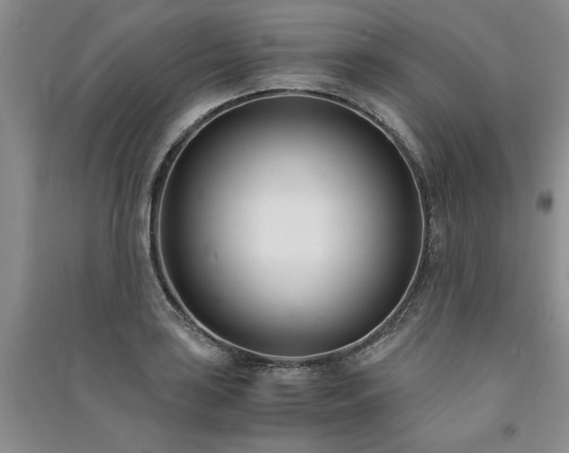 X0000091521035200708171212