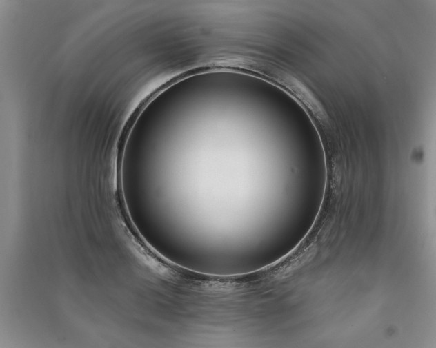 X0000091521036200708171212