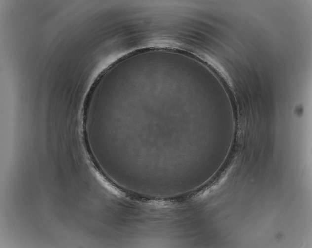 X0000091521037200708171212