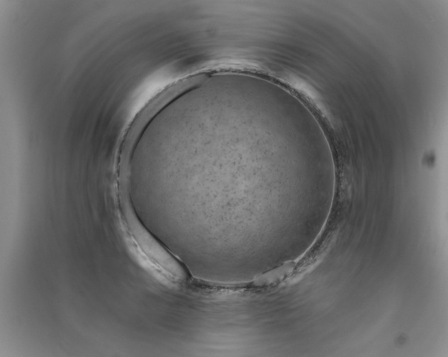 X0000091521038200708171212