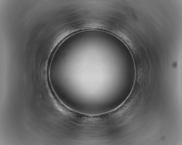 X0000091521039200708171212
