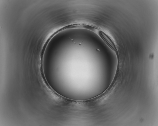 X0000091521040200708171212