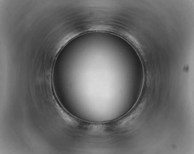 X0000091521041200708171212