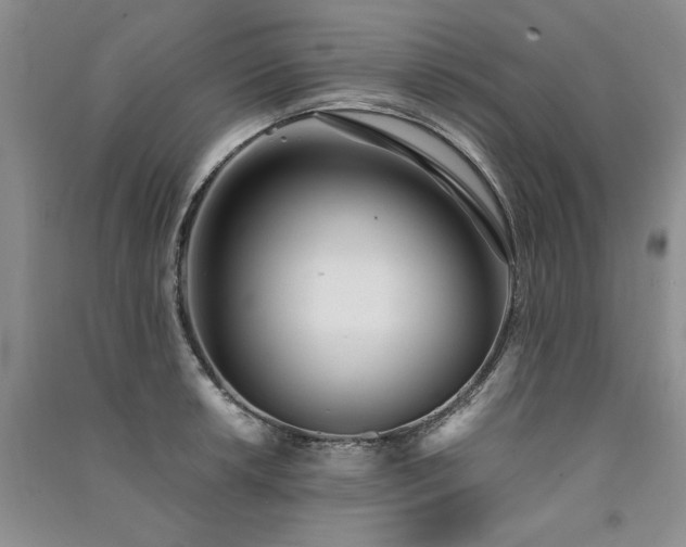 X0000091521042200708171212