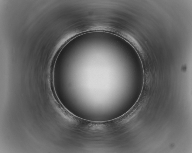 X0000091521043200708171212