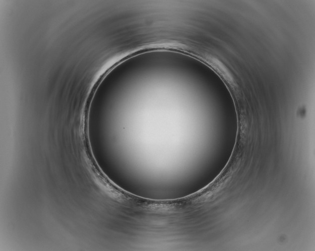 X0000091521044200708171212