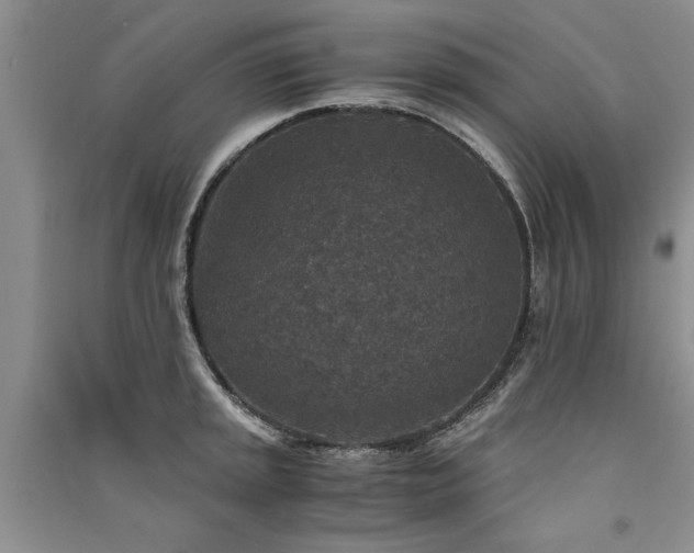 X0000091521045200708171213