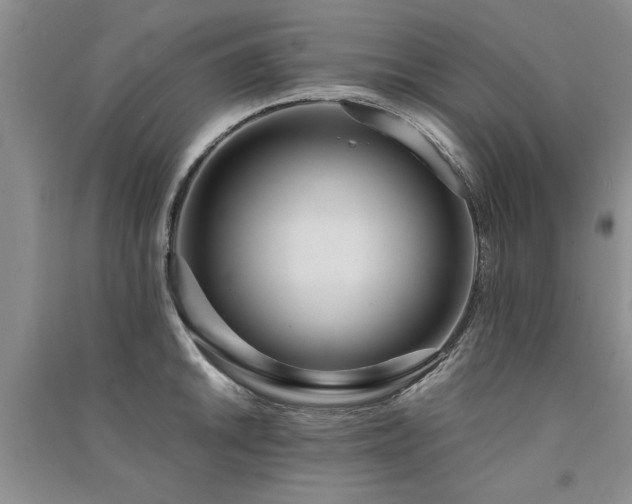 X0000091521046200708171213
