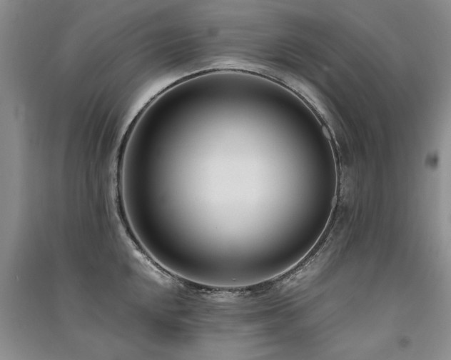 X0000091521048200708171213