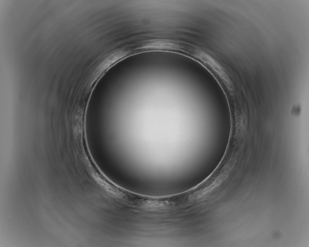 X0000091521049200708171213