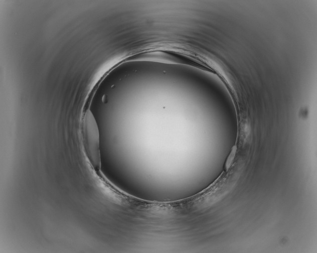 X0000091521050200708171213