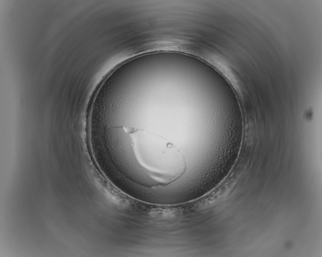 X0000091521051200708171213