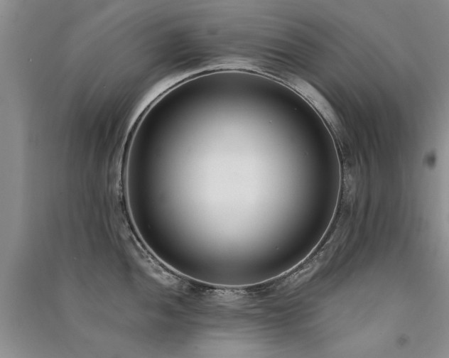 X0000091521052200708171213