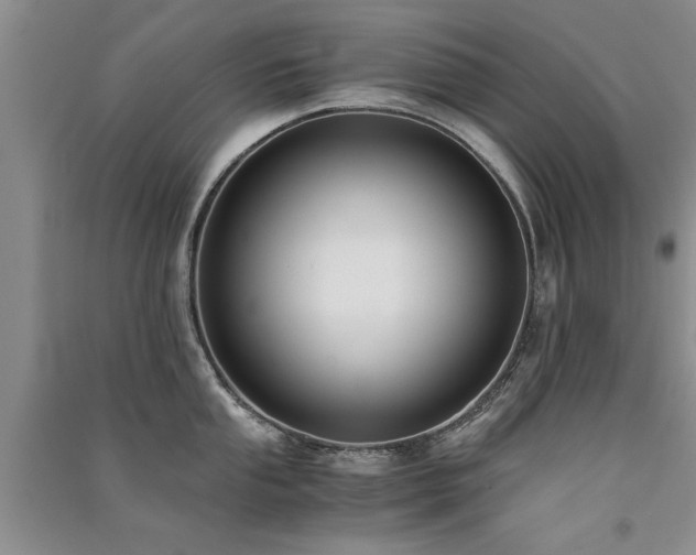X0000091521053200708171213