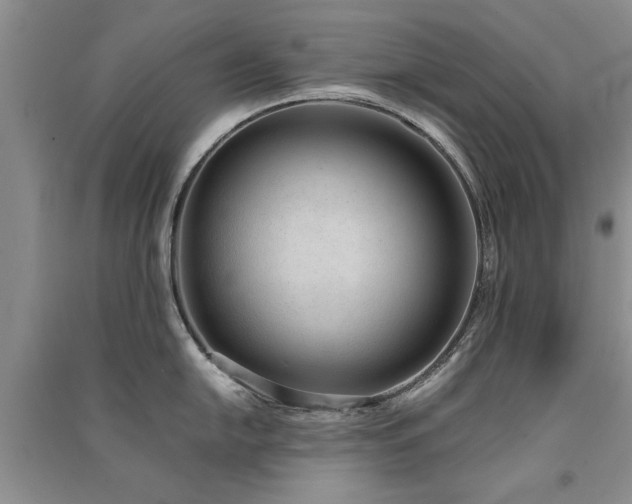 X0000091521054200708171213