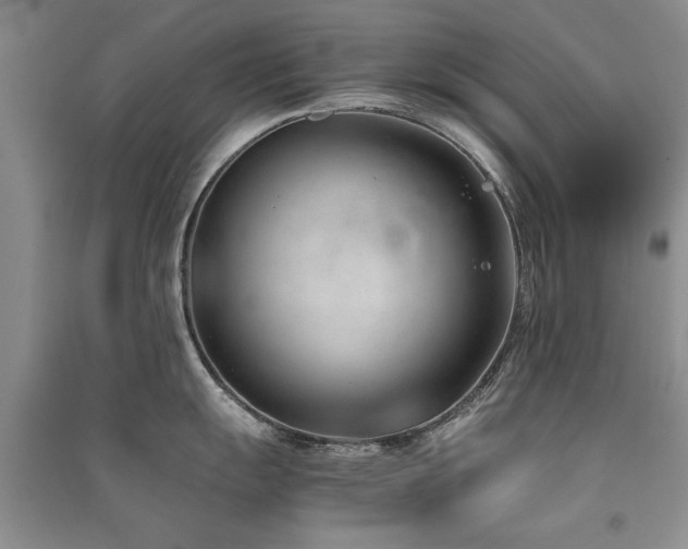 X0000091521055200708171213