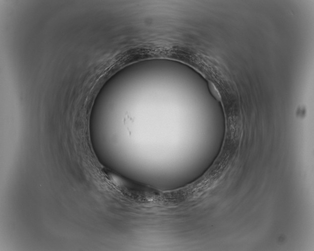 X0000091521057200708171212
