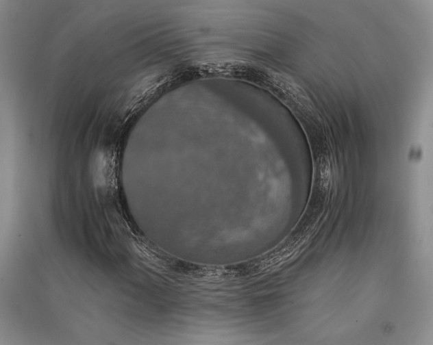 X0000091521060200708171212