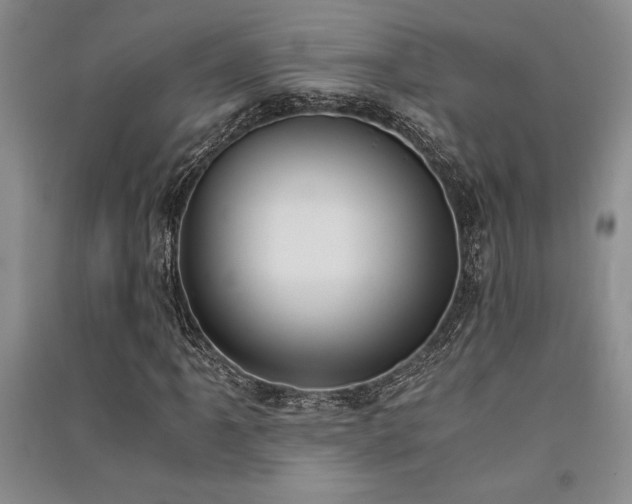 X0000091521061200708171212