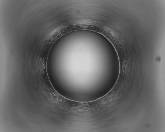 X0000091521062200708171212