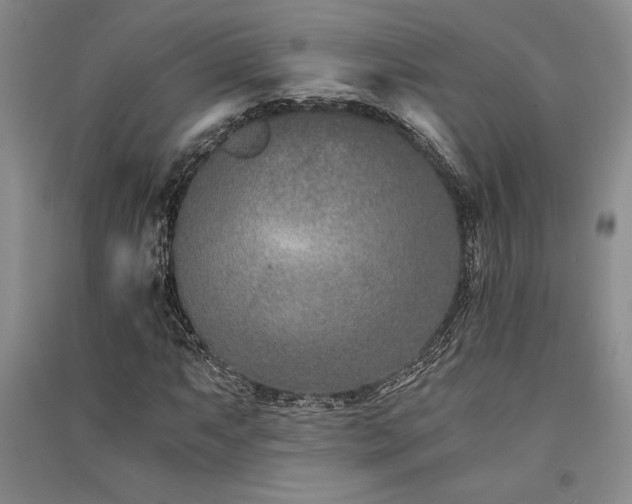 X0000091521063200708171212
