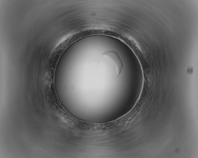 X0000091521064200708171212